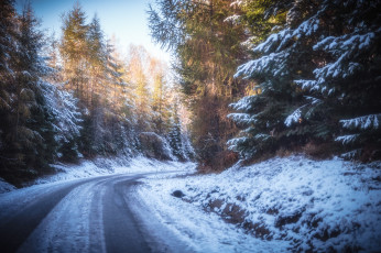 Картинка природа дороги простор