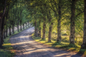 Картинка природа дороги простор