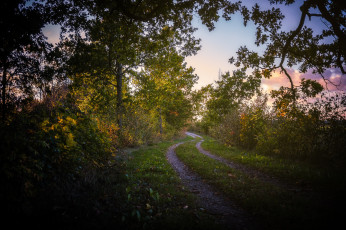 Картинка природа дороги простор