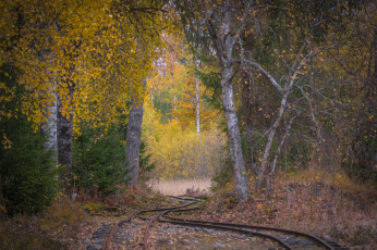 Картинка природа дороги простор