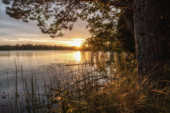 Картинка природа реки озера простор