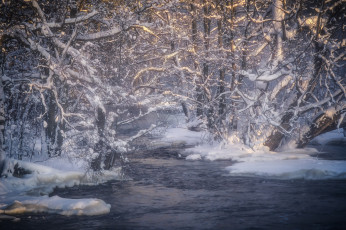 Картинка природа зима простор