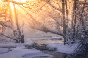 Картинка природа зима простор