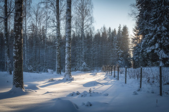 Картинка природа зима простор