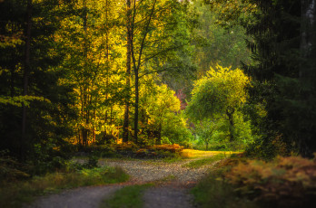 Картинка природа дороги простор