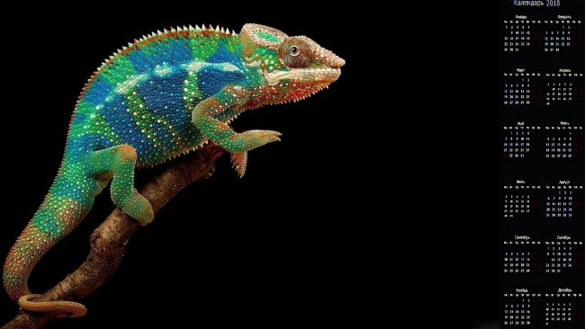 Обои картинки фото календари, животные, хамелеон