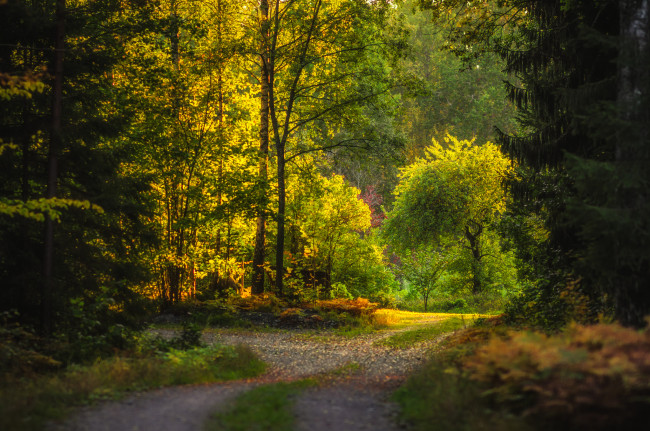 Обои картинки фото природа, дороги, простор