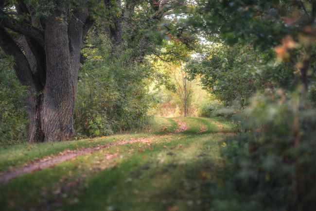 Обои картинки фото природа, дороги, простор