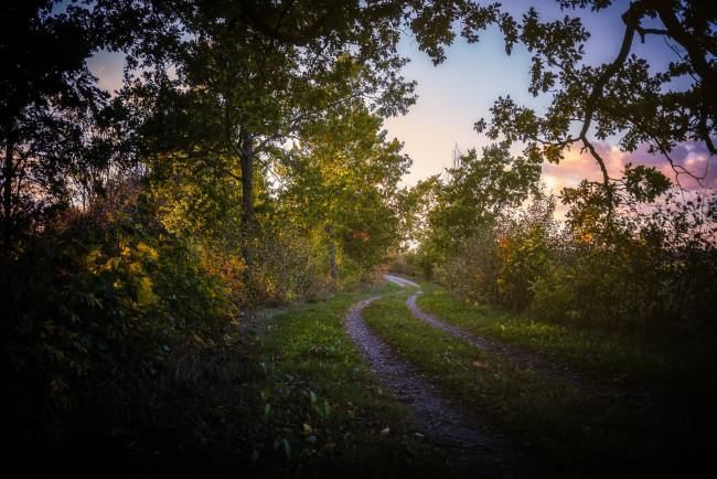 Обои картинки фото природа, дороги, простор