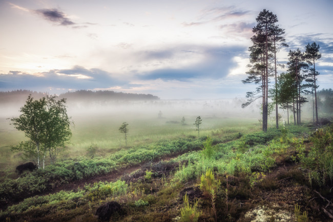 Обои картинки фото природа, пейзажи, простор