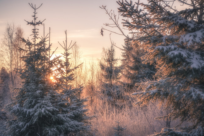 Обои картинки фото природа, зима, простор