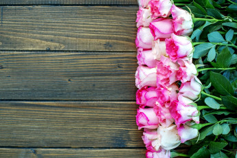 Картинка цветы розы бутоны