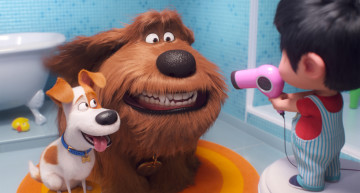 обоя мультфильмы, the secret life of pets 2, the, secret, life, of, pets, 2