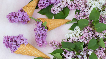 Картинка цветы сирень композиция