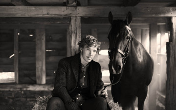 Картинка мужчины benedict+cumberbatch бенедикт камбербэтч