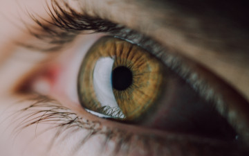 Картинка разное глаза зрачок