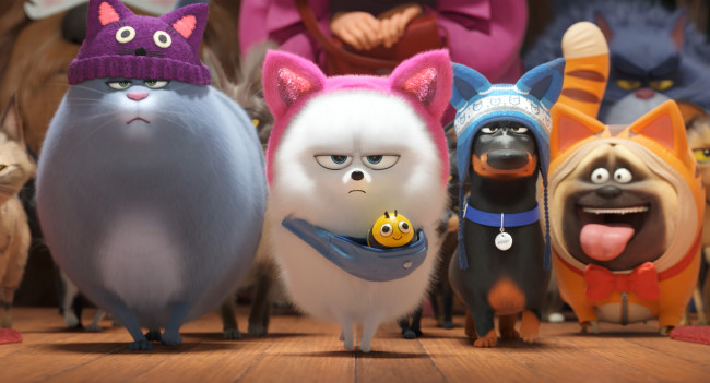 Обои картинки фото мультфильмы, the secret life of pets 2, the, secret, life, of, pets, 2