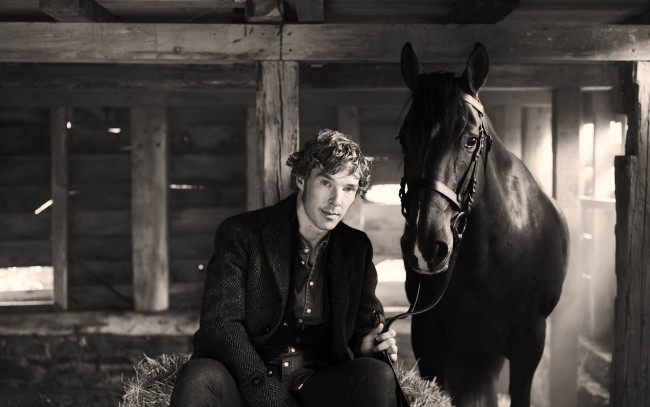 Обои картинки фото мужчины, benedict cumberbatch, бенедикт, камбербэтч