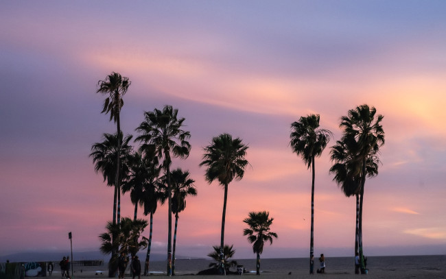 Обои картинки фото природа, тропики, пальмы, закат, море, люди