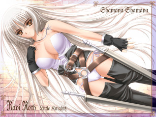 Картинка аниме weapon blood technology