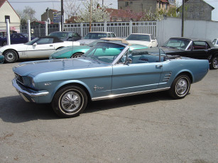 Картинка автомобили ford