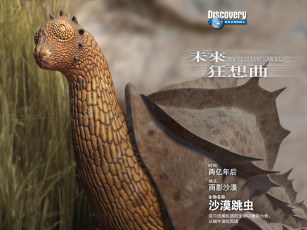 Картинка разное