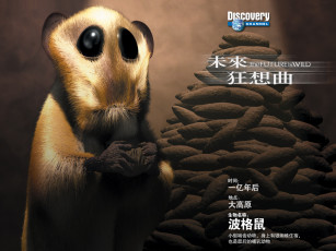 Картинка разное