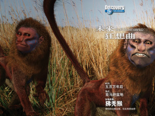 Картинка разное