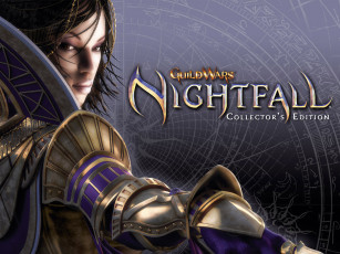 Картинка видео игры guild wars nightfall