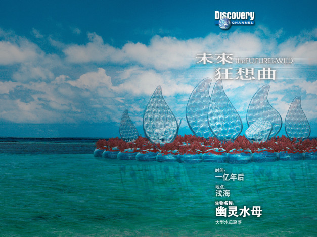 Обои картинки фото разное