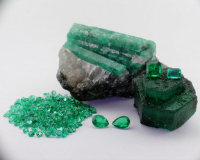 Картинка разное ракушки кораллы декоративные spa камни