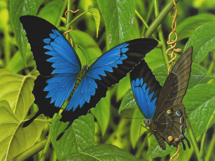 Картинка рисованные животные