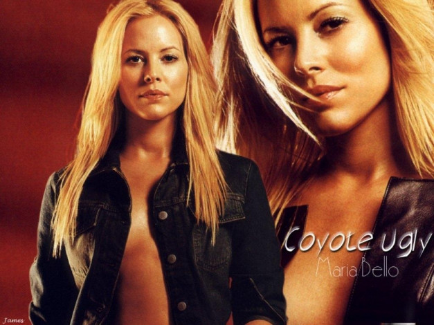 Обои картинки фото coyote, ugly, кино, фильмы