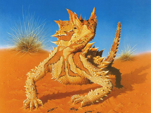 Обои картинки фото рисованные, животные