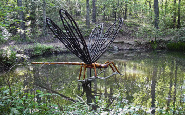 Картинка природа парк