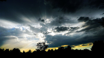 Картинка природа восходы закаты лучи закат облака лес