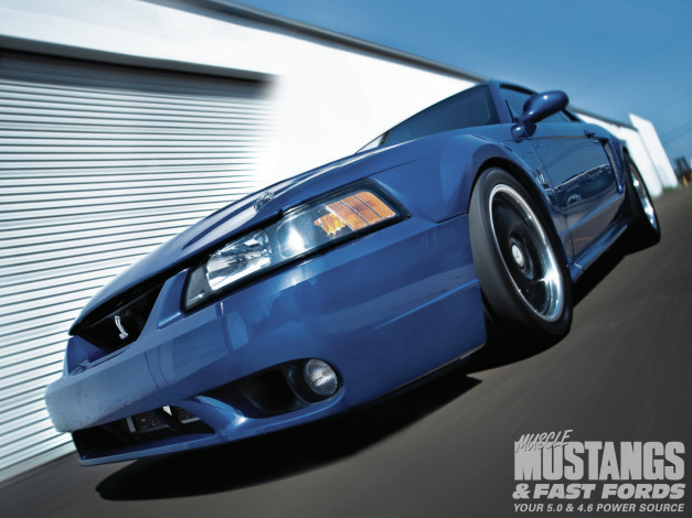 Обои картинки фото 1999, ford, mustang, cobra, автомобили
