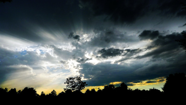 Обои картинки фото природа, восходы, закаты, лучи, закат, облака, лес