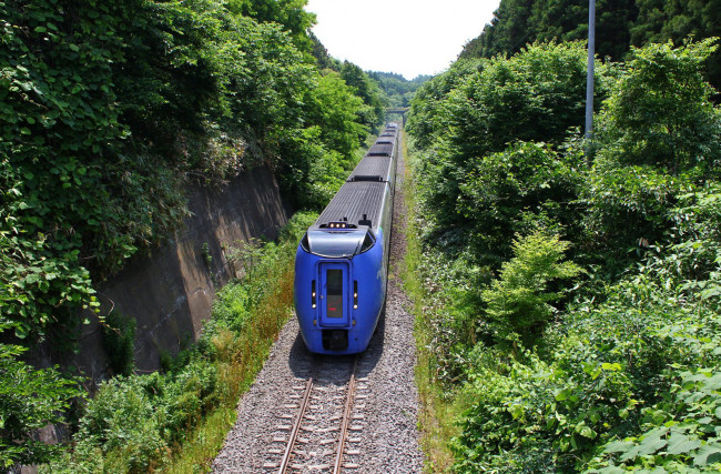 Обои картинки фото техника, поезда, поезд