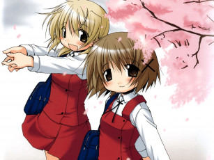 Картинка аниме hidamari sketch