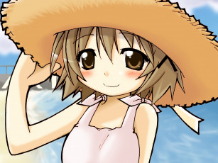 Картинка аниме hidamari sketch девушка