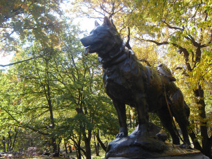 Картинка города памятники скульптуры арт объекты собака