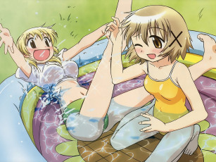 Картинка hidamari sketch аниме