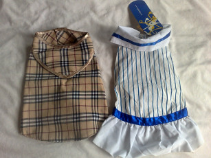 Картинка разное одежда обувь текстиль экипировка для собак