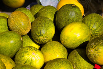 Картинка еда дыня тыквы