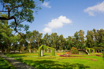 Картинка природа парк деревья трава