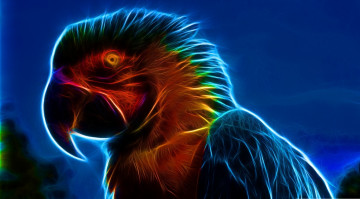 Картинка 3д графика animals животные попугай