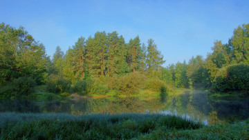 Картинка утро на керженце природа реки озера лес река