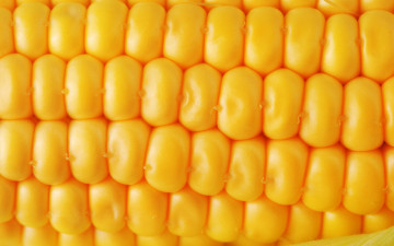 Картинка еда кукуруза