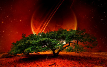 Картинка new planet 3д графика nature landscape природа планета дерево
